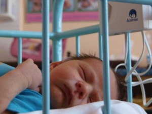 Fakultní nemocnice se loni opět stala největší českou porodnicí