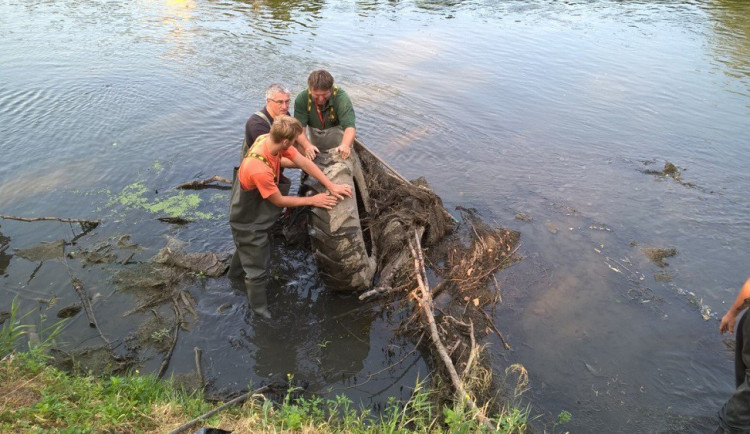 ilustrační foto, zdroj: ekolist.cz