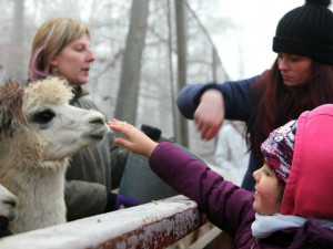 Poznej zoo z druhé strany. V Brně hledají dobrovolníky