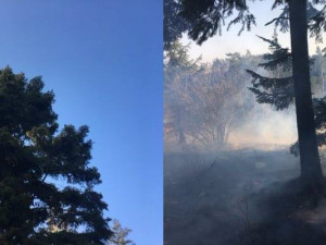Jihomoravští hasiči měli na apríla dvojnásobek zásahů