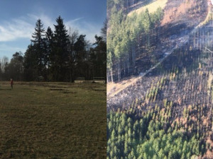 VIDEO: Na Brněnsku hořelo dvacet hektarů lesa, zasahovalo dvě stě hasičů