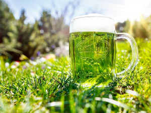 V Brně se dnes podávala zelená polévka, bary čepují zelené pivo