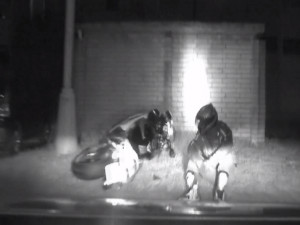 VIDEO: Sjetý motorkář na sebe upozornil staromódním gestem, při následné honičce to napálil do zdi