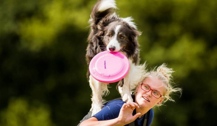 Brněnské psí dny, Autor: Ondra Uhlíř