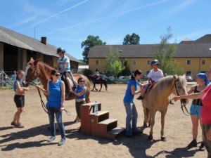 Zajíček na koni už dvanácté léto přináší radost handicapovaným dětem