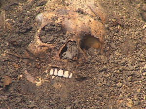 Archeologové zkoumají u Ronda starobrněnský hřbitov. Odkryli už víc než 600 mrtvých