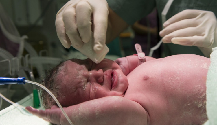 ilustrační foto, zdroj: pixabay.com