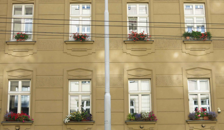 Soutěžit může každý, kdo se stará o svoje kytičky