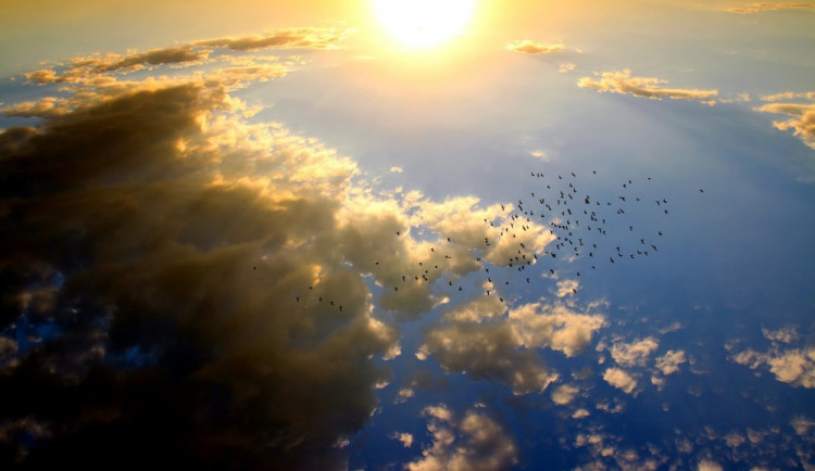 ilustrační foto, zdroj: pixabay.com