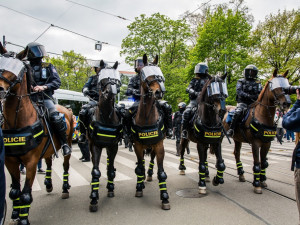 Na zápas Zbrojovky se Spartou budou přihlížet tři stovky policistů a stovka strážníků