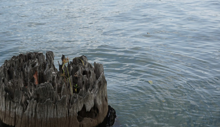 ilustrační foto, zdroj: pixabay.com