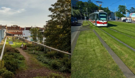 Zdroj: Nadace Partnerství