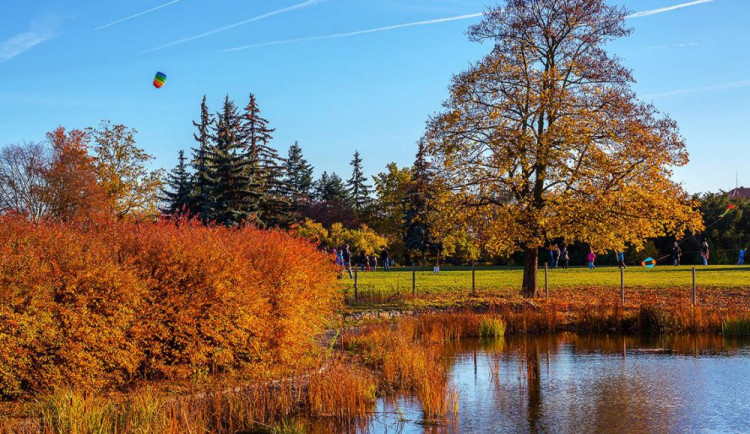 Pavel Gabzdyl, Neuvěřitelné Brno