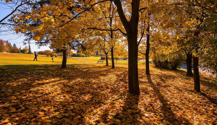 Pavel Gabzdyl, Neuvěřitelné Brno