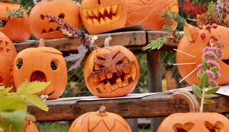 Dýňová slavnost v Otevřené zahradě