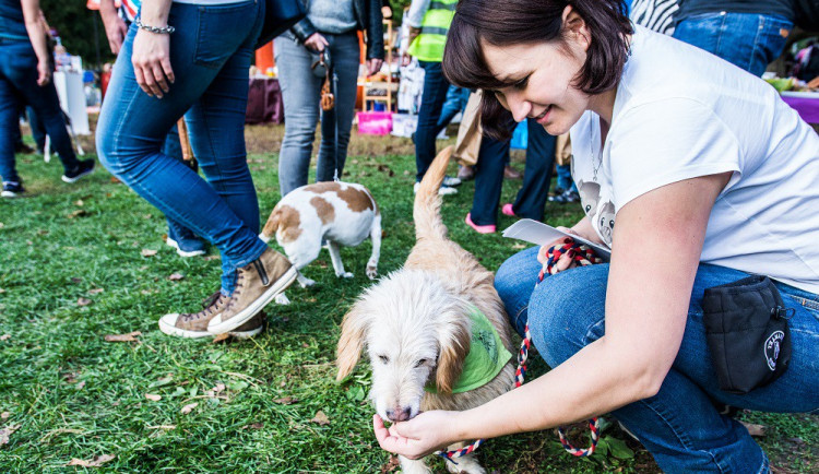 Autor: Tomáš Hrivňák