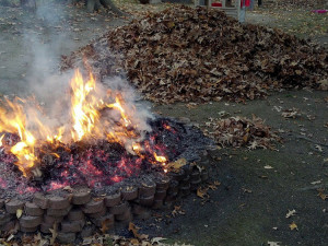 Brno omezí pálení listí. Bude také lépe informovat veřejnost o stavu ovzduší