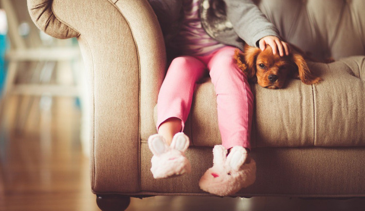 ilustrační foto, zdroj: pixabay.com