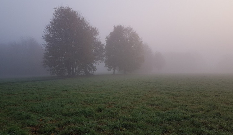 POČASÍ NA NEDĚLI: Ráno mlha a mrholení, odpoledne se mírně vyjasní