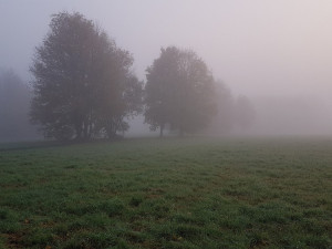 POČASÍ NA NEDĚLI: Ráno mlha a mrholení, odpoledne se mírně vyjasní