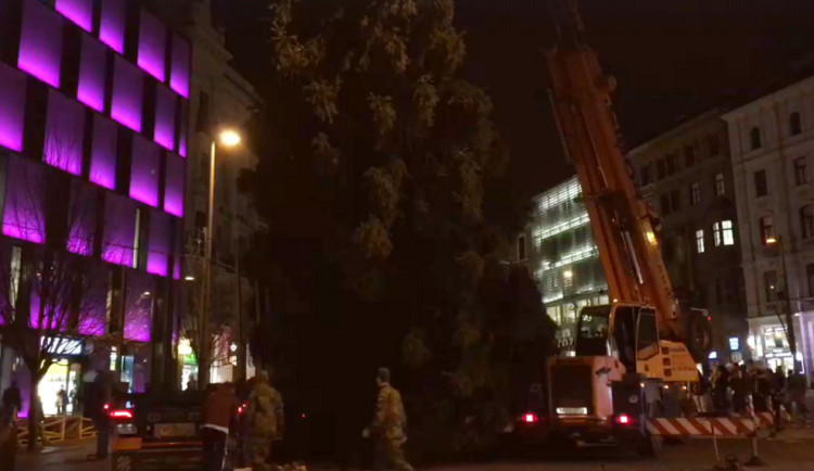 Vánoční strom na Svoboďáku, zdroj: Události Brno