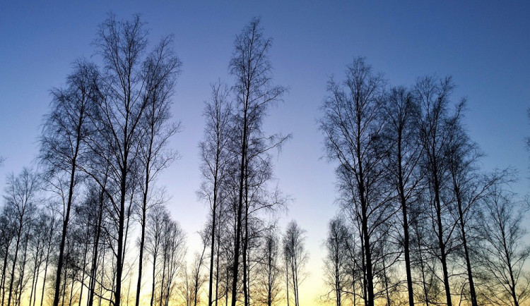 POČASÍ NA ÚTERÝ: Od rána bude krásný zimní den