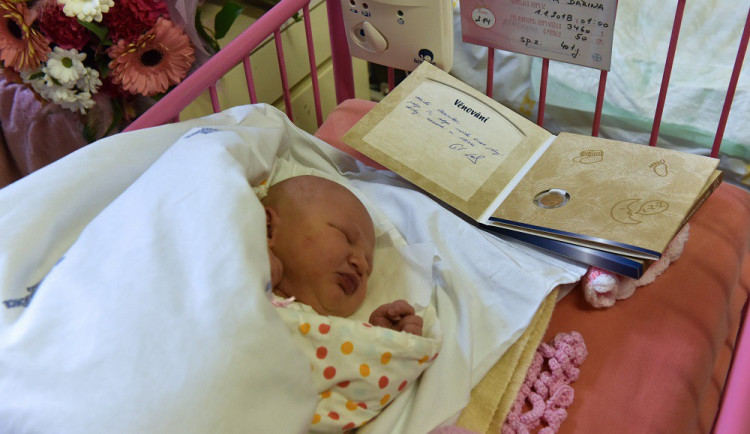 První mimiko v Brně - Darinka