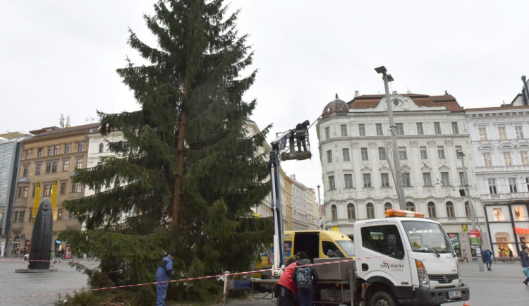 Sbírka pod vánočním stromem vynesla téměř sedm set tisíc korun. Peníze pomůžou dětem v nouzi