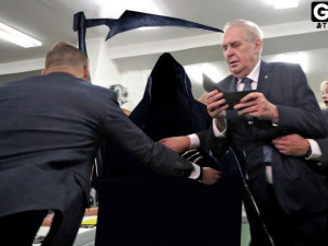 Jsme smějící se bestie. Buďme na to hrdí.