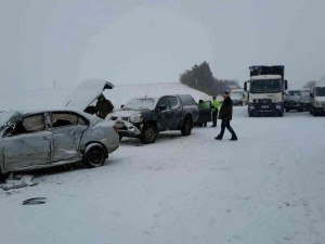 Následky sněhové kalamity na jižní Moravě