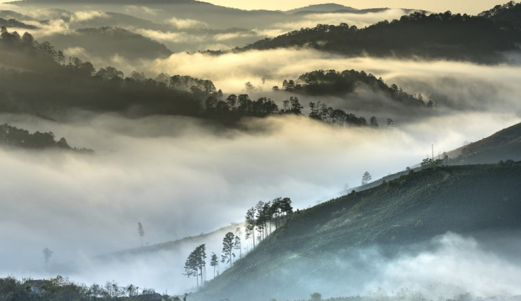 ilustrační foto, zdroj: pixabay.com