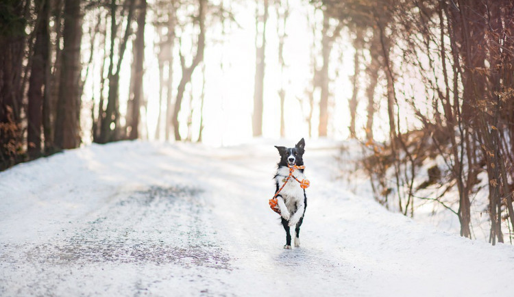 POČASÍ NA PÁTEK: Zasněží jen lehce, na obloze vysvitne sluníčko