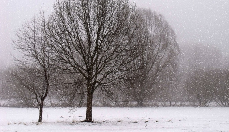 POČASÍ NA ÚTERÝ: Zataženo a místy lehké sněžení