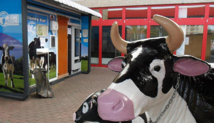 Mladíci vykradli z automatu třicet litrů mléka. Pak se porvali a zavolali na sebe policii