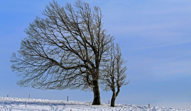 POČASÍ NA STŘEDU: Silně mrznout bude dál, ranní oblaky vystřídá odpoledne sluníčko
