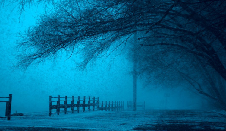 ilustrační foto, Zdroj: pixabay