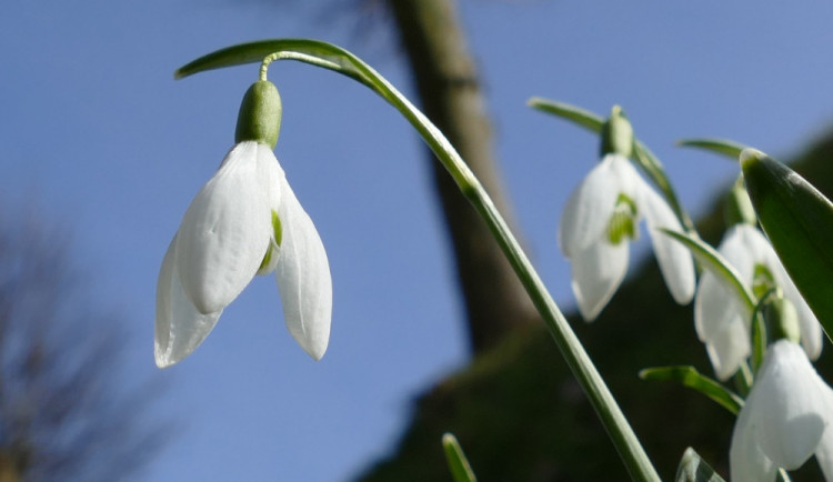 ilustrační foto, Zdroj: pixabay