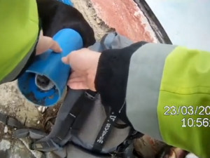 VIDEO: Fence se zasekla hlava v plastové trubce, pomoct ji museli strážníci a veterináři