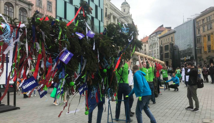 Autor: Petra Stanová