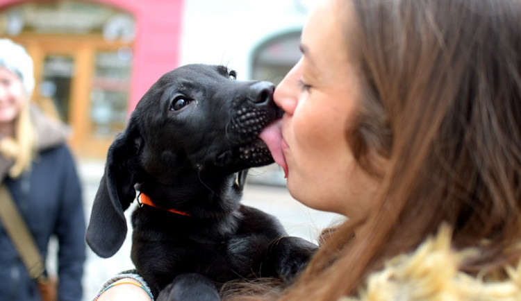 ZÁPESNÍK: Nehlaďte ji, žere hovna!
