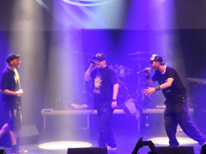 Autor: Petra Stanová