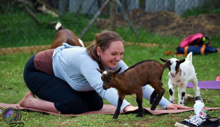 Jóg s kůzlaty