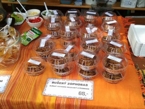 extrem food festival6