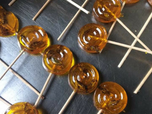 extrem food festival4