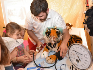 Nemocnici plyšových zvířátek v Brně navštíví přes tisíc dětí. Na plyšácích se učí zdravovědu