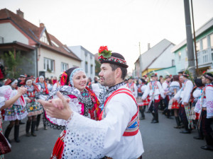 Seznamte se, Folklorní Drbna!