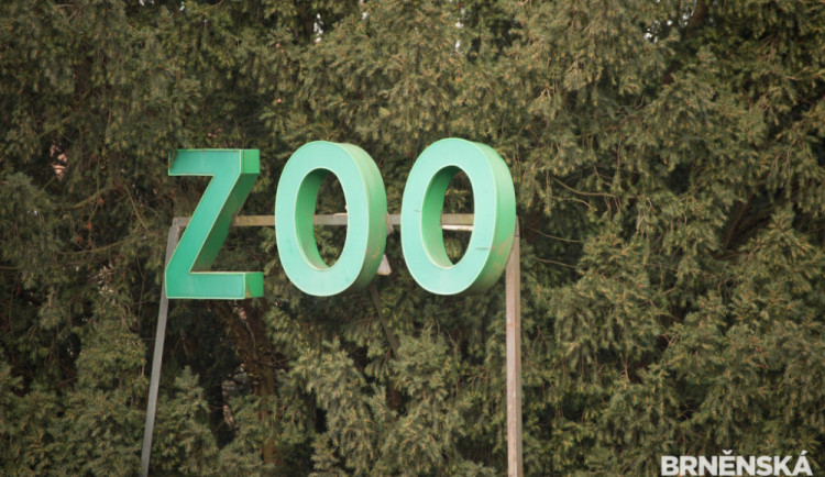 Zesnulá Brňanka odkázala svůj byt brněnské zoo