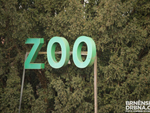 Zesnulá Brňanka odkázala svůj byt brněnské zoo