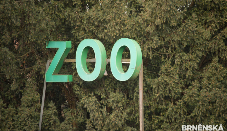 Zoo Brno