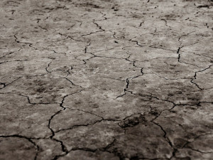 Letošní sucho bude mít pro hospodáře na jižní Moravě tvrdý dopad